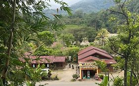 Cinta alam inn ketambe